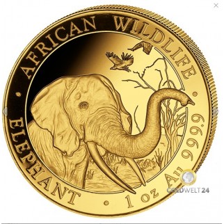 1 Unze Gold Somalia Elefant 2018