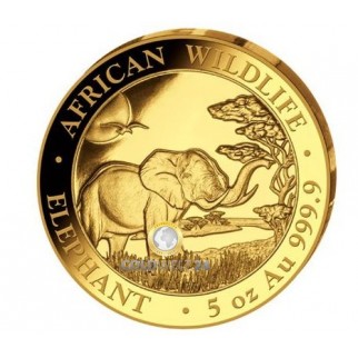 5 Unzen Gold Somalia Elefant 2019 PP