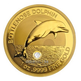 1 Unze Gold Bottlenose Dolphin (Delfin) 2019