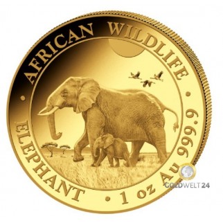 1 Unze Gold Somalia Elefant 2022