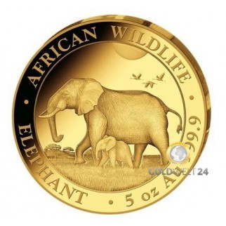 5 Unzen Gold Somalia Elefant 2021 PP