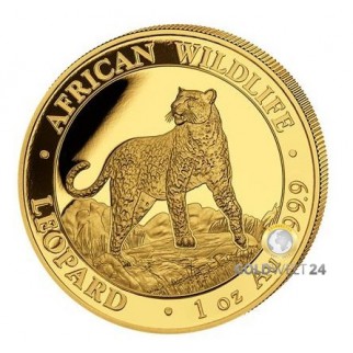 1 Unze Gold Somalia Leopard 2021