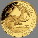 5 Unzen Gold Somalia Elefant 2023 PP