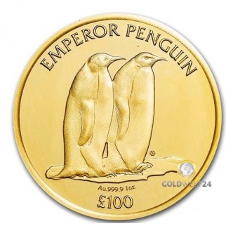 1 Unze Gold British Antarctic Territory Penguin 2023
