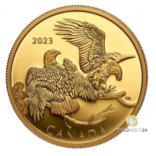 200 Dollars Gold Weißkopfseeadler 2023 PP