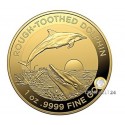 1 Unze Gold Rough-toothed Dolphin 2023