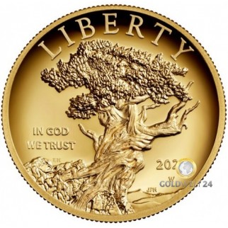 1 Unze Gold American Liberty 2021 High Relief PP