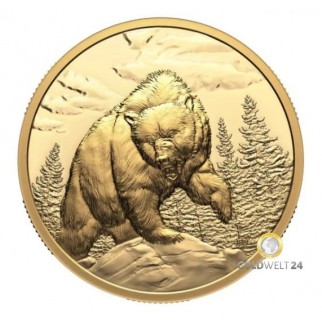 200 Dollars 1 Unze Gold Grizzlybär 2023 PP