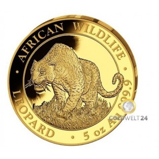 5 Unzen Gold Somalia Leopard 2021