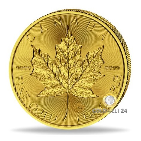 1 Unze Gold Maple Leaf 2024