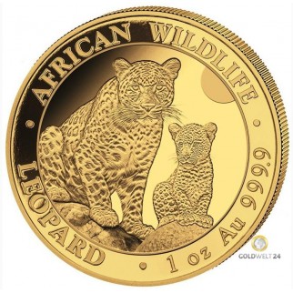 1 Unze Gold Somalia Leopard 2023