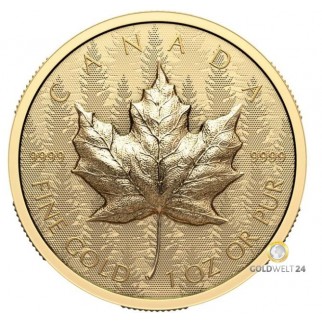 200 Dollars Gold Maple Leaf Reverse Proof 2024 PP